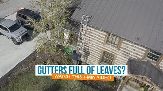 gutter cleaning service